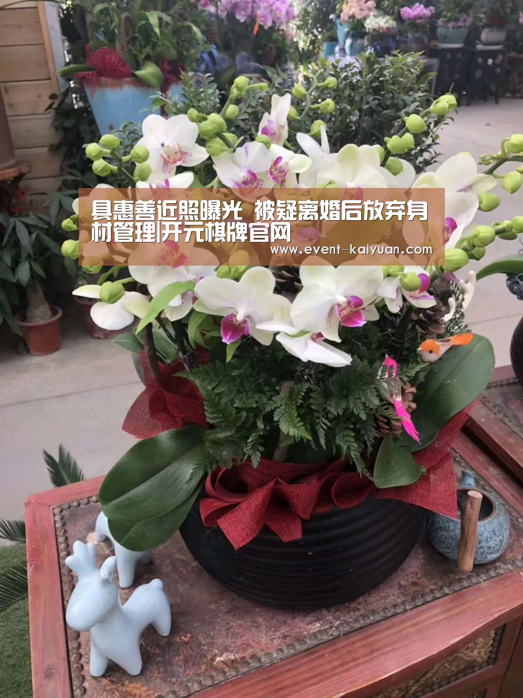 具惠善近照曝光 被疑离婚后放弃身材管理|开元棋牌官网(图2) 开元棋牌app