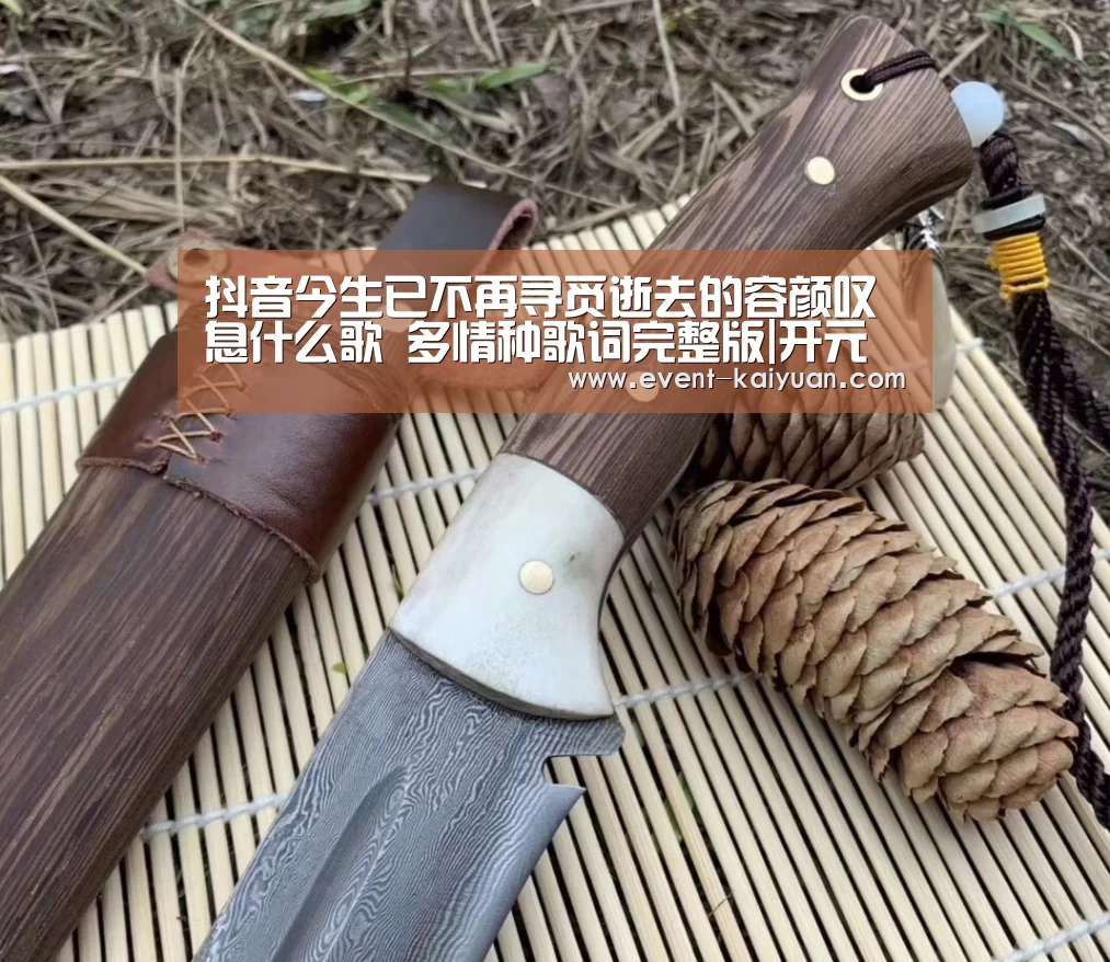 抖音今生已不再寻觅逝去的容颜叹息什么歌 多情种歌词完整版|开元棋牌app(图3) 开元棋牌官网